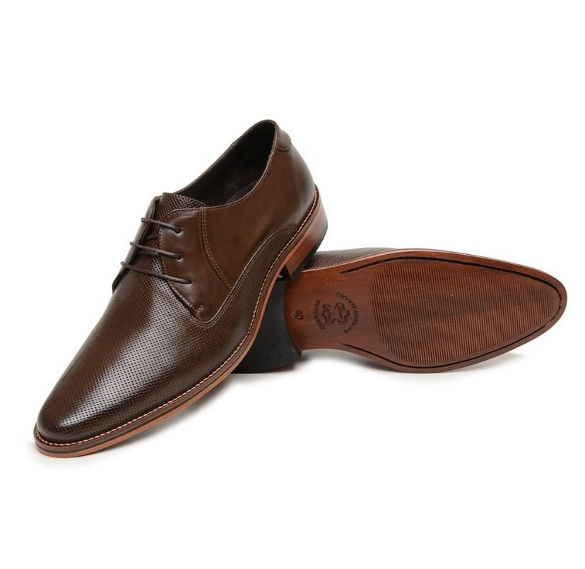 Derby Havana