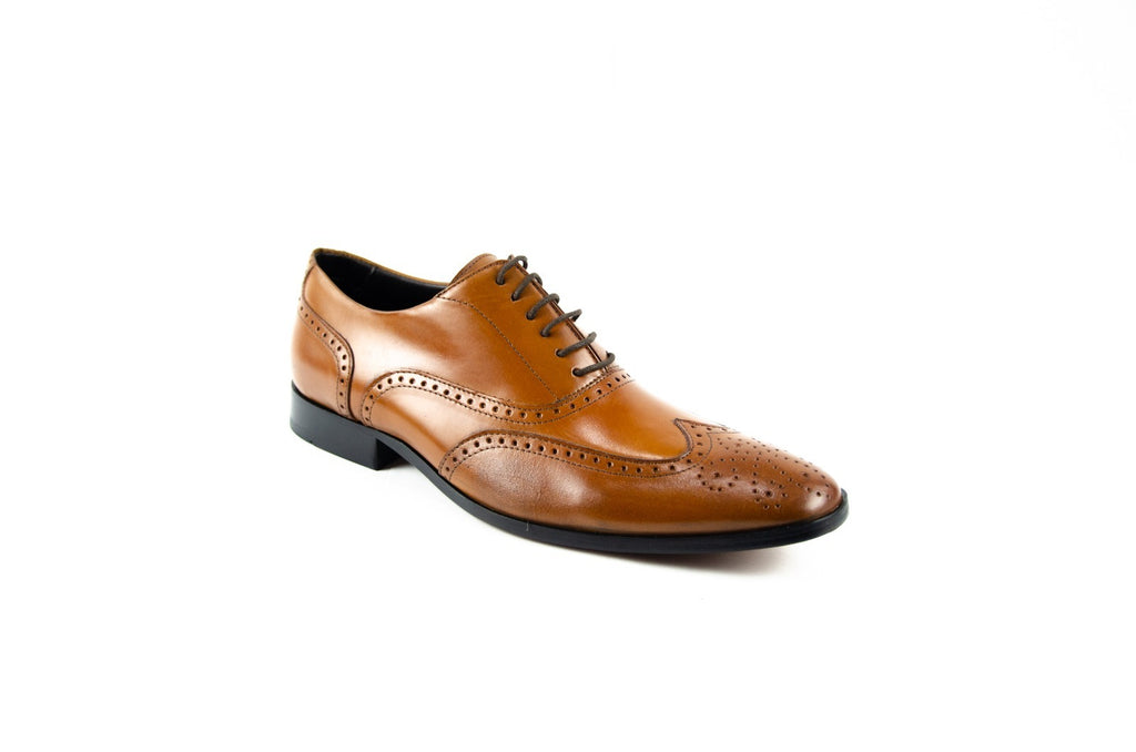 Oxford Joe's 2.0